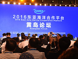 青岛电视台：开幕式新闻